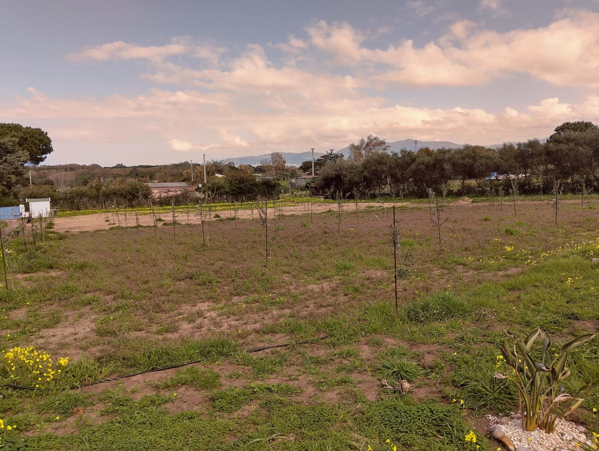Apartament Mare Valledoria  Zewnętrze zdjęcie